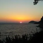 Lujak *