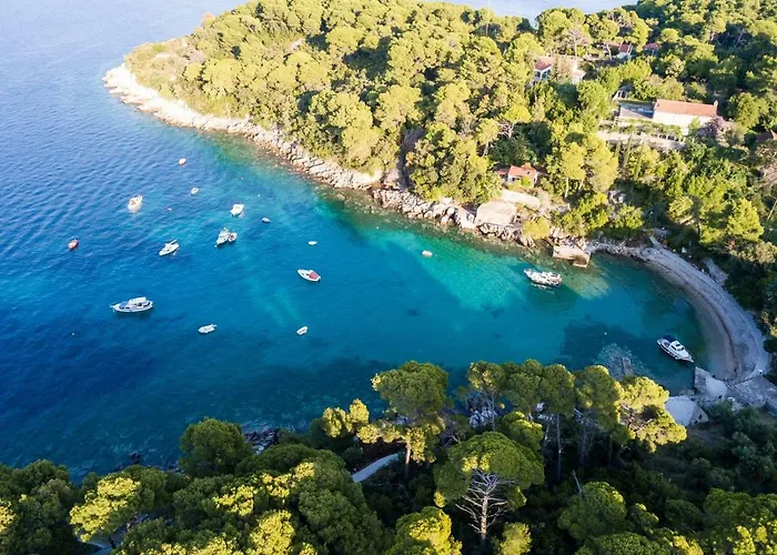 Lujak Apartamento Donje Celo